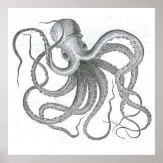 Poster Nautical steampunk octopus vintage kraken drawing