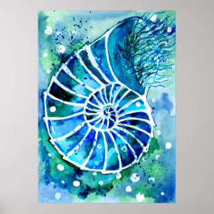Poster Nautile Turquoise