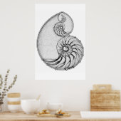 Poster Nautilus (Cuisine)
