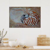 Poster nautilus (Cuisine)