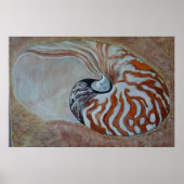 Poster nautilus (Devant)