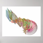 Poster Nautilus (Devant)