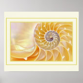 Poster Nautilus (Voorkant)