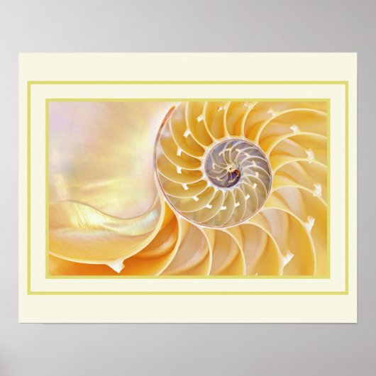 Poster Nautilus (Voorkant)