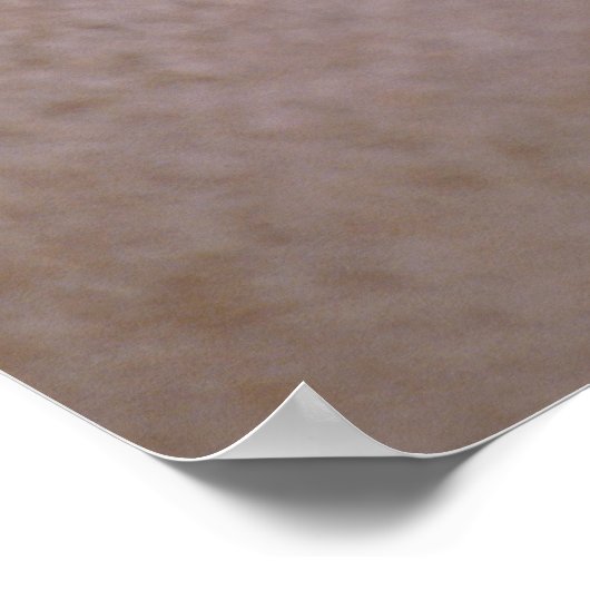 Poster Nautilus Chamnuméroté (Coin)