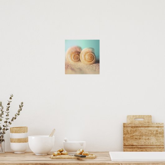 Poster Nautilus Shells (Cuisine)