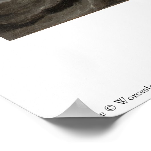 Poster nautique (Coin)