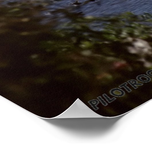 Poster Navette spatiale Atlantis (Coin)