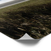 Poster Navette spatiale Atlantis (Coin)