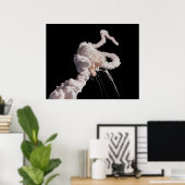 Poster Navette spatiale Challenger (Bureau à domicile)