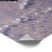 Poster Navette spatiale Endeavor 24 (Coin)