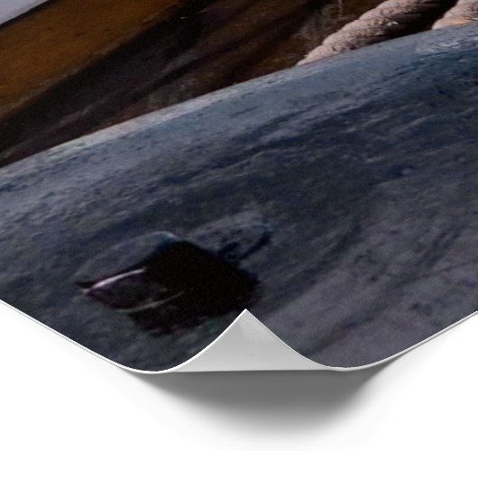 Poster Navire (Coin)