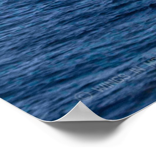 POSTER NAVIRE D'ASSAUT AMPHIBIEUX - LHD-2 (Coin)