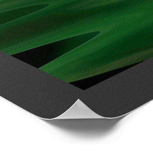 Poster Navire pirate (Coin)