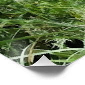 POSTER NAVIRES (Coin)