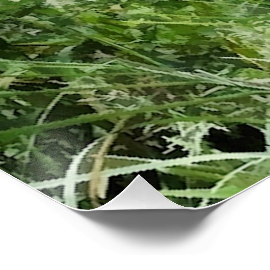 POSTER NAVIRES (Coin)