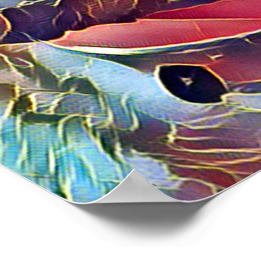 POSTER NAVIRES (Coin)