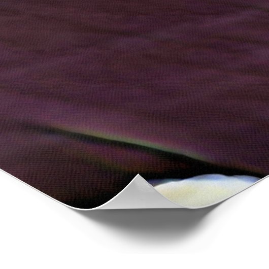 POSTER NAVIRES (Coin)