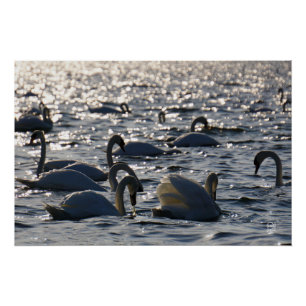 Poster Navires en groupe sur l'eau avec glissement