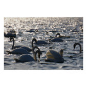 Poster Navires en groupe sur l'eau avec glissement (Devant)