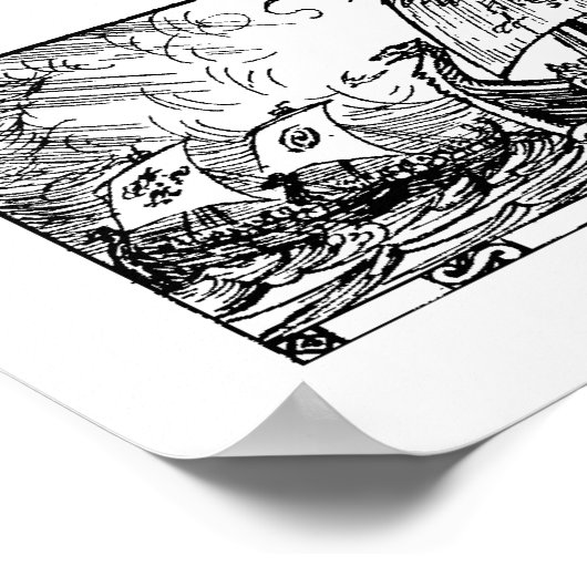 Poster Navires viking (Coin)