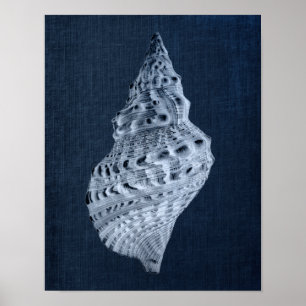 Poster Navy Seashells Print no. 1 Beach Decor Wall Art