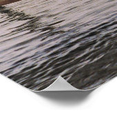 Poster NC Pélicans (Coin)