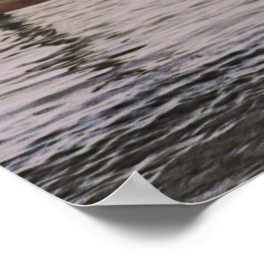 Poster NC Pélicans (Coin)