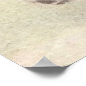 Poster NC Wyeth Peinture historique Hiawatha (Coin)