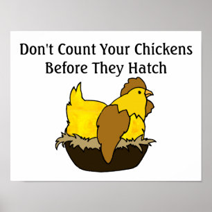 Poster Ne comptez pas vos poulets avant qu'ils hachent