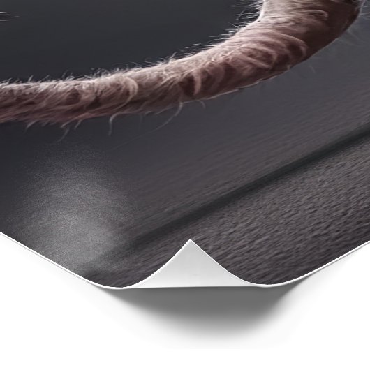 Poster Ne demande pas, juste pour ! (Coin)