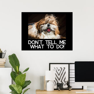 Poster Ne dites pas à un shih tzu ce qu'il doit faire, c'