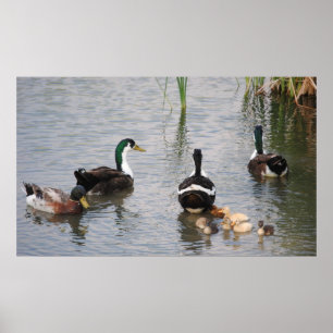 Poster Ne fais rien.