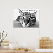 Poster Né fatigué kitty (Cuisine)