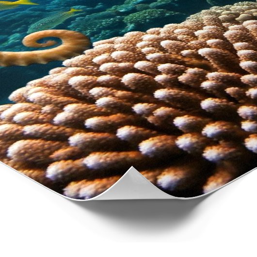 Poster Ne jamais abandonner l'affiche (Coin)