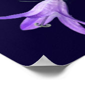 Poster Ne jamais perdre espoir Citation Inspirante Rumi (Coin)