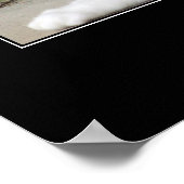 Poster Ne jamais sous-estimer l'oeuvre de chats (Coin)