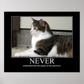 Poster Ne jamais sous-estimer l'oeuvre de chats
