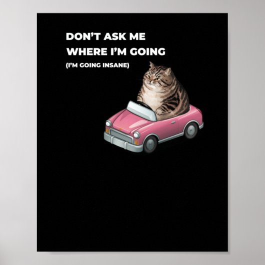 Poster Ne me demandez pas où je vais (je deviens fou) Wh (Devant)
