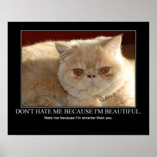 Poster Ne me détestez pas...Oeuvre de chats drôle