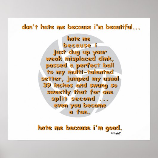 Poster Ne me détestez pas VOLLEYBALL (Devant)