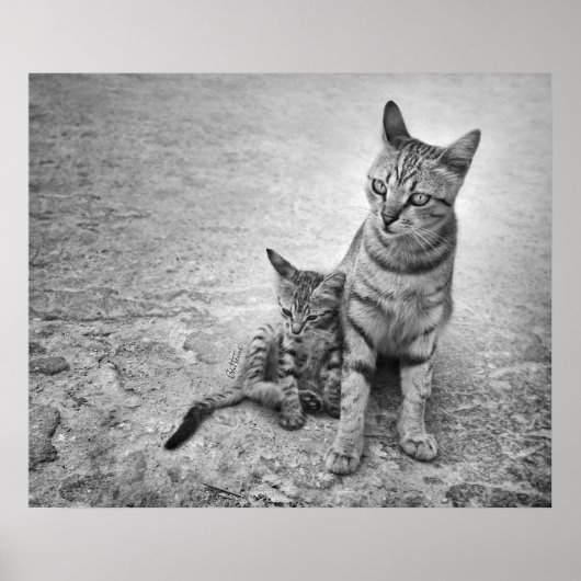 Poster Ne me laissez jamais seul (Devant)