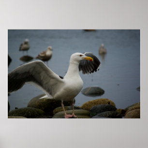 Poster Ne pas déranger l'impression
