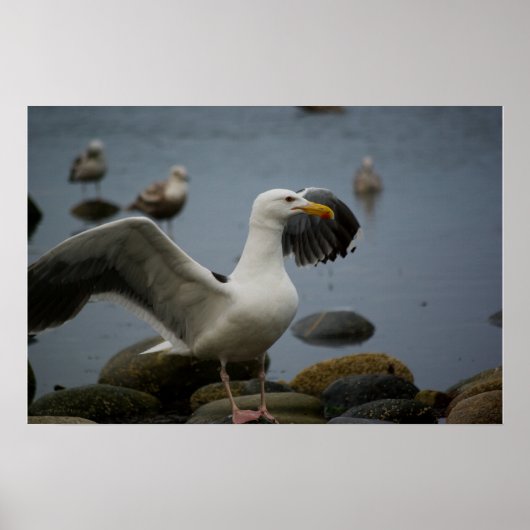 Poster Ne pas déranger l'impression (Devant)