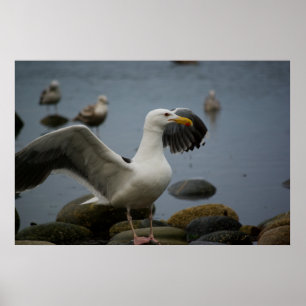 Poster Ne pas déranger l'impression