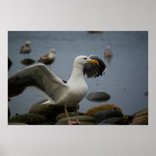 Poster Ne pas déranger l'impression (Devant)
