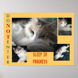 POSTER NE PAS ENTRER.....