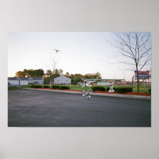 Poster Ne pas nourrir les mouettes