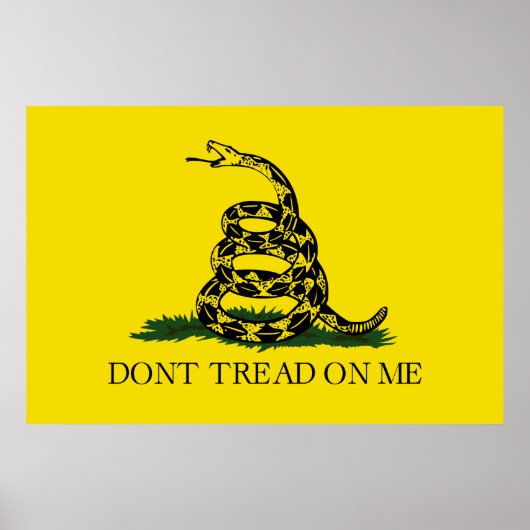 Poster Ne pas taper sur le drapeau de Me Gadsden (Devant)