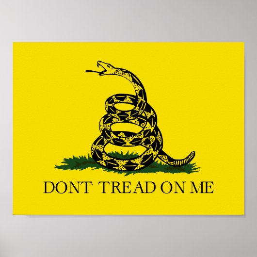 Poster Ne pas taper sur le drapeau de Me Gadsden (Devant)
